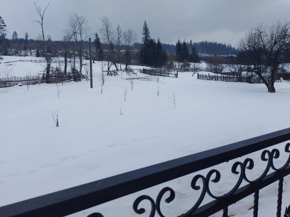 Дзвін Карпат Villa Lazeșciîna Exterior foto